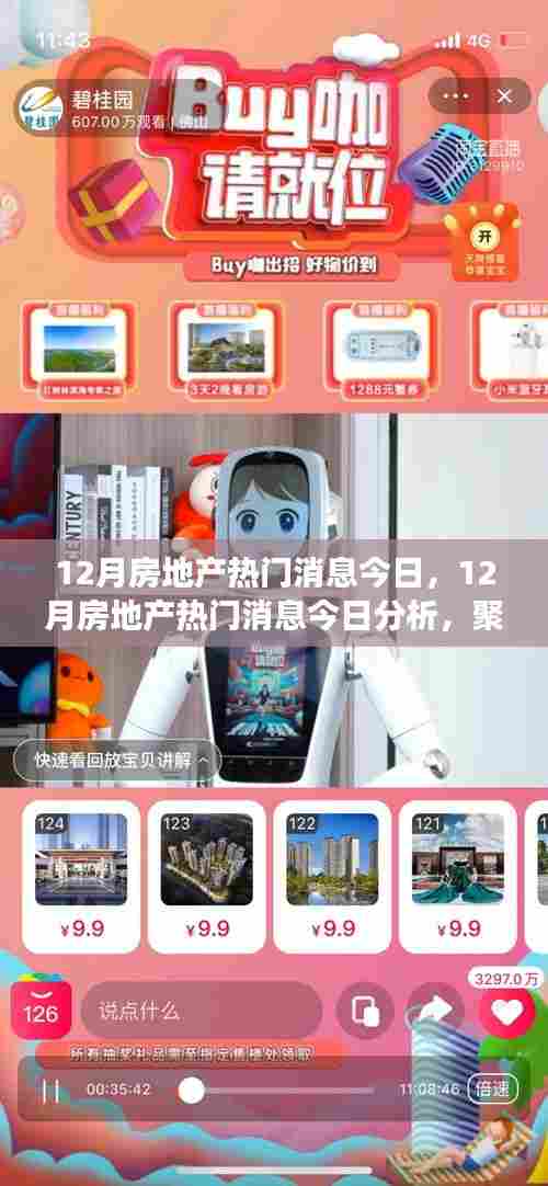 12月房地产最新动态解析，市场动向与个人立场关注焦点