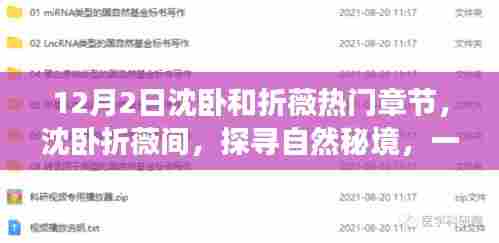 沈卧折薇间，探寻自然秘境，心灵洗涤之旅