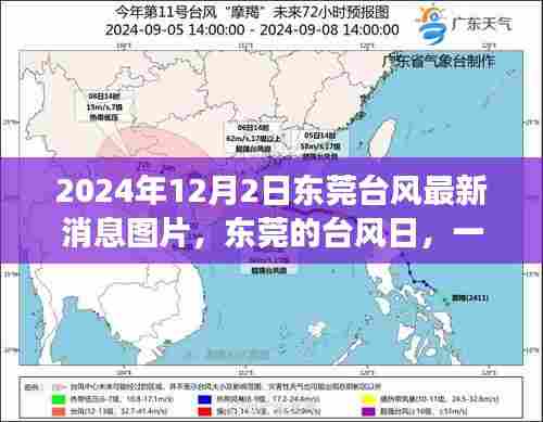 东莞台风日温馨日常故事，最新台风消息与图片分享