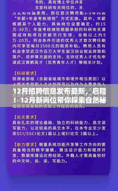 12月新岗位招聘启幕，探索自然秘境，寻找心灵宁静之旅