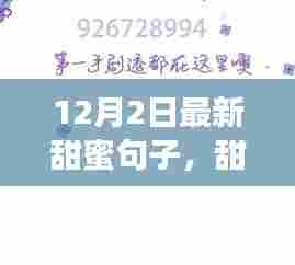 12月2日温暖人心的甜蜜句子，探寻甜蜜之日的独特魅力