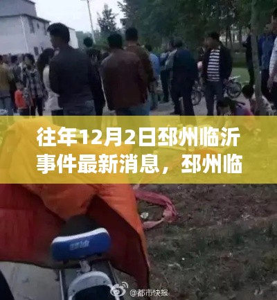 邳州临沂事件最新动态,深度解析、回顾与反思