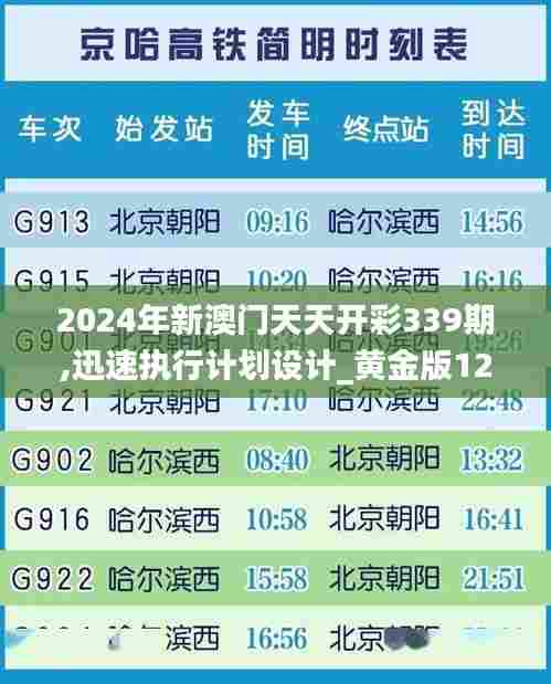 2024年新澳门天天开彩339期,迅速执行计划设计_黄金版121.370-4