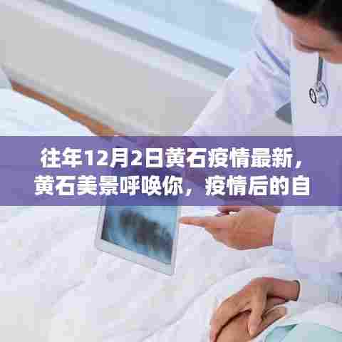 黄石疫情最新动态与美景探索,自然之旅寻找内心宁静与平和