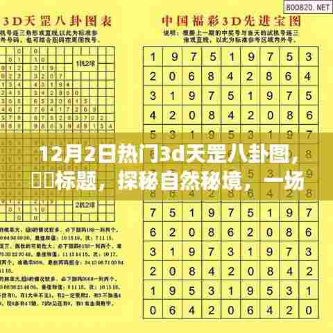 探秘自然秘境，热门3D天罡八卦图的奇妙旅行记