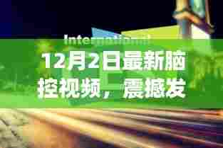 粗制滥造 第4页