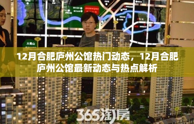 合肥庐州公馆最新动态热点解析,十二月热门动态揭秘