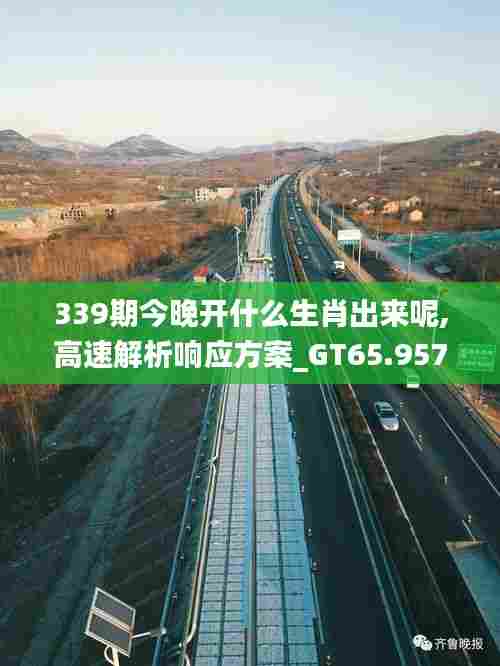 339期今晚开什么生肖出来呢,高速解析响应方案_GT65.957-6