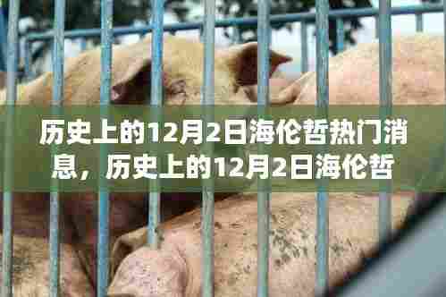 删华就素 第4页