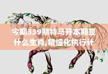 今期339期特马开本期是什么生肖,精细化执行计划_Z70.534-1