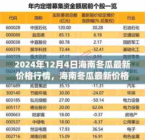 2024年12月4日海南冬瓜最新价格行情展望，市场视角与观点
