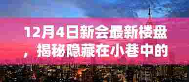 揭秘新会宝藏楼盘，小巷中的独特小店