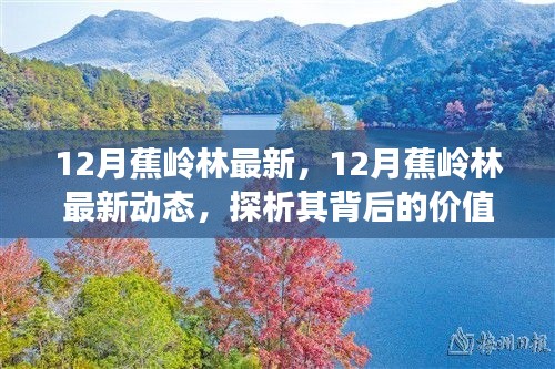 揭秘蕉岭林最新动态背后的价值及影响
