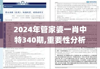 2024年管家婆一肖中特340期,重要性分析方法_Phablet5.250-3