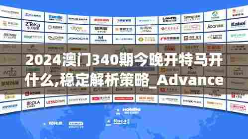 2024澳门340期今晚开特马开什么,稳定解析策略_Advance89.462-3