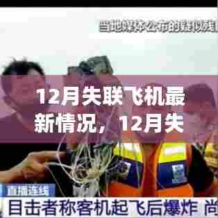 全球航空安全事件深度解析，聚焦失联飞机最新情况与航空安全探讨