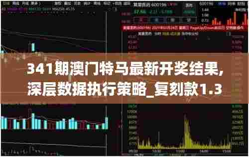 341期澳门特马最新开奖结果,深层数据执行策略_复刻款1.361
