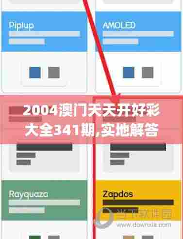 2004澳门天天开好彩大全341期,实地解答解释定义_动态版8.479