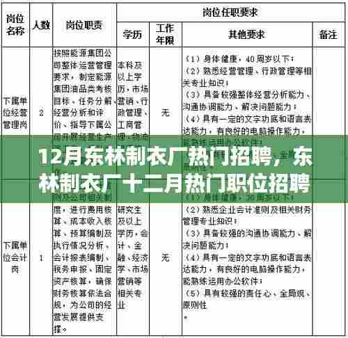 东林制衣厂十二月热门职位招聘启事，探寻最新职业机遇