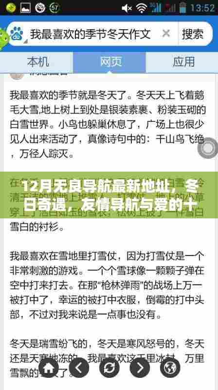 十二月无良导航最新地址,冬日奇遇与爱的约定
