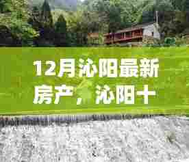 沁阳十二月，房产美景探寻，宁静港湾与自然的和谐之旅