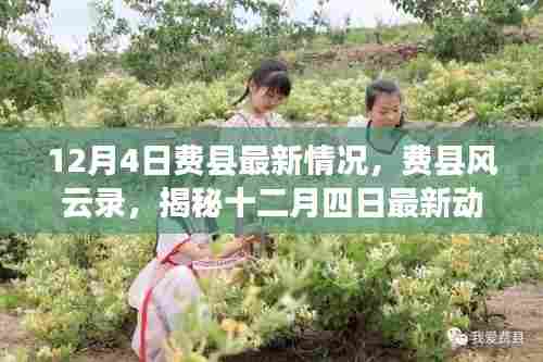 揭秘费县风云录,最新动态尽在掌握