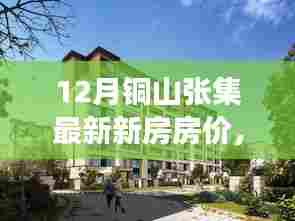 铜山张集新房房价揭秘，探寻心灵家园与自然美景之旅
