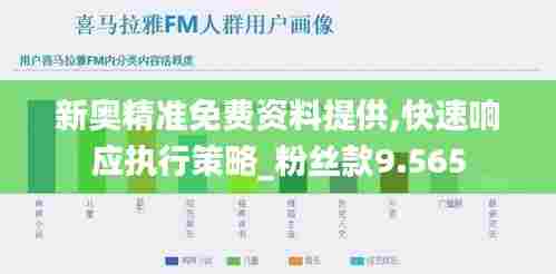 新奥精准免费资料提供,快速响应执行策略_粉丝款9.565