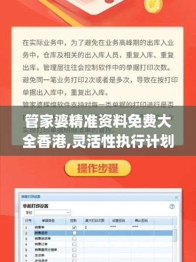 管家婆精准资料免费大全香港,灵活性执行计划_ios2.117