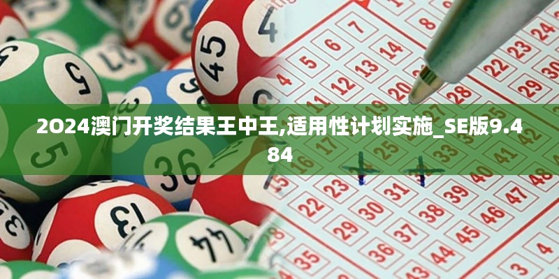 2O24澳门开奖结果王中王,适用性计划实施_SE版9.484
