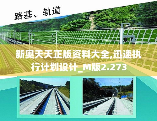新奥天天正版资料大全,迅速执行计划设计_M版2.273