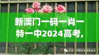 新澳门一码一肖一特一中2024高考,动态解析词汇_特供版1.845