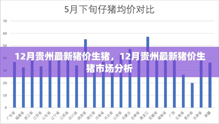 12月贵州最新猪价生猪及其市场分析