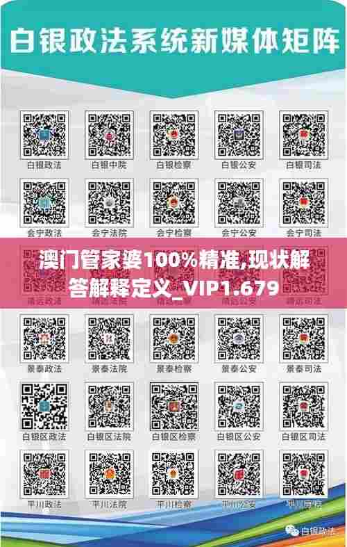 澳门管家婆100%精准,现状解答解释定义_VIP1.679