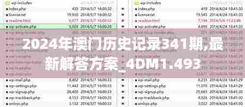 2024年澳门历史记录341期,最新解答方案_4DM1.493