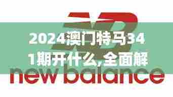 2024澳门特马341期开什么,全面解析说明_复刻款8.870