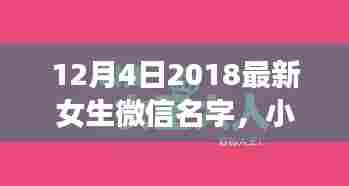 12月4日2018最新女生微信名字，小红书精选2018年尾时尚女生微信名字大公开——12月4日最新潮流命名指南