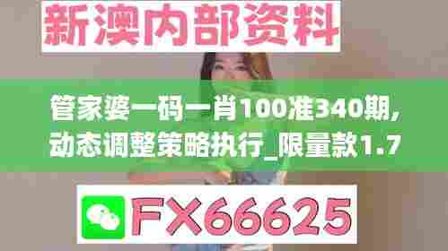 管家婆一码一肖100准340期,动态调整策略执行_限量款1.735