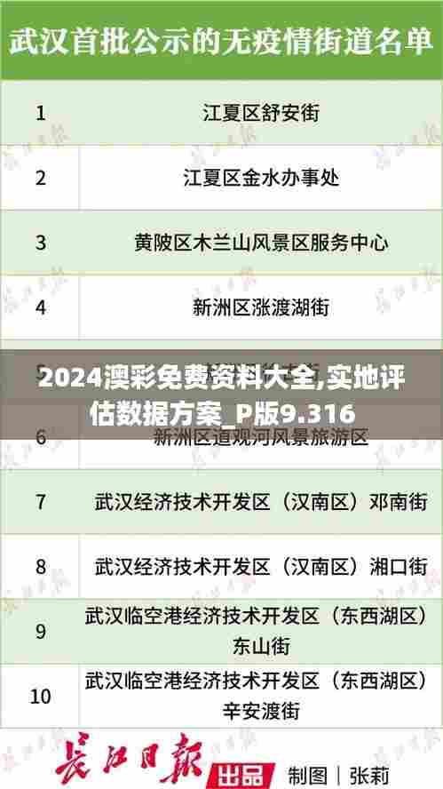 2024澳彩免费资料大全,实地评估数据方案_P版9.316