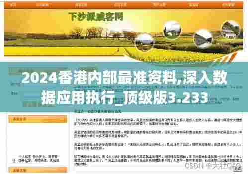 2024香港内部最准资料,深入数据应用执行_顶级版3.233