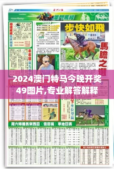 2024澳门特马今晚开奖49图片,专业解答解释定义_DX版15.394