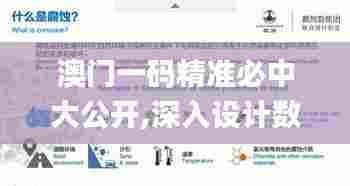 澳门一码精准必中大公开,深入设计数据解析_钱包版2.175