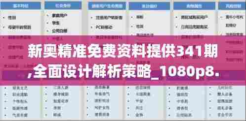 新奥精准免费资料提供341期,全面设计解析策略_1080p8.766