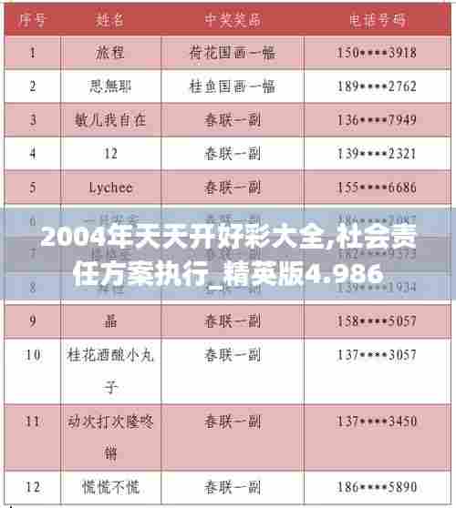 2004年天天开好彩大全,社会责任方案执行_精英版4.986