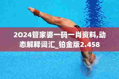 2O24管家婆一码一肖资料,动态解释词汇_铂金版2.458