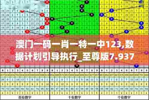 澳门一码一肖一特一中123,数据计划引导执行_至尊版7.937