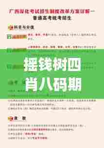 摇钱树四肖八码期期三码必中,实践策略实施解析_超级版10.504