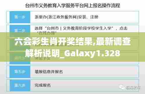 六会彩生肖开奖结果,最新调查解析说明_Galaxy1.328