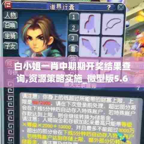白小姐一肖中期期开奖结果查询,资源策略实施_微型版5.689