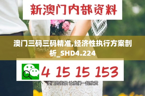 澳门三码三码精准,经济性执行方案剖析_SHD4.224